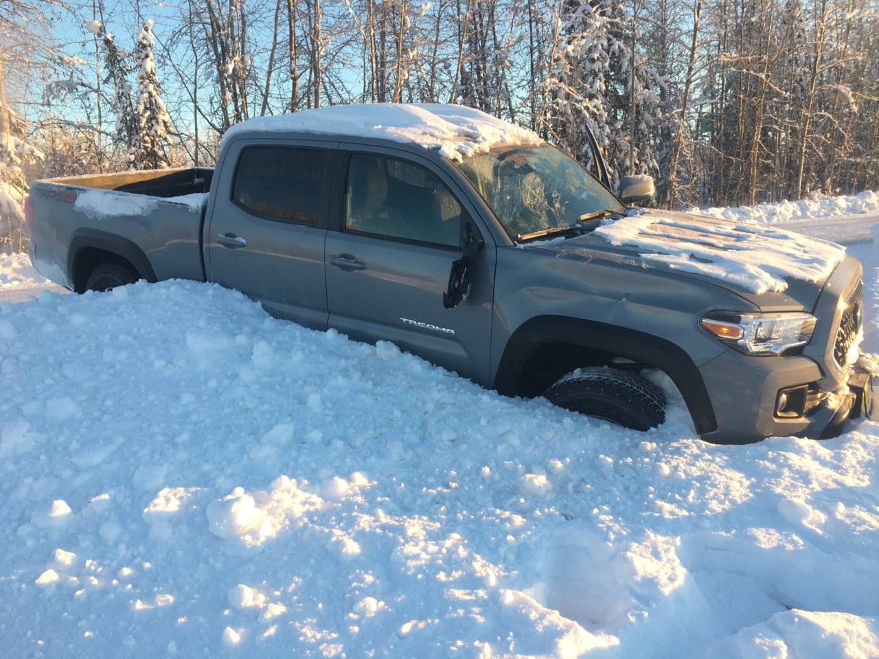 2018moosestrike.jpg