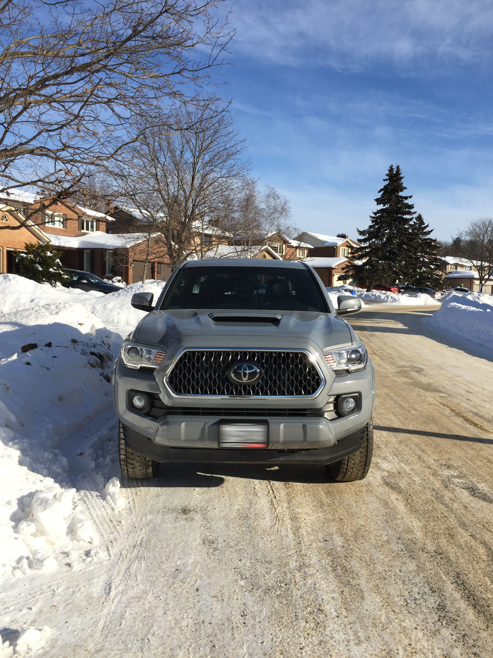 2018Taco-front.jpg
