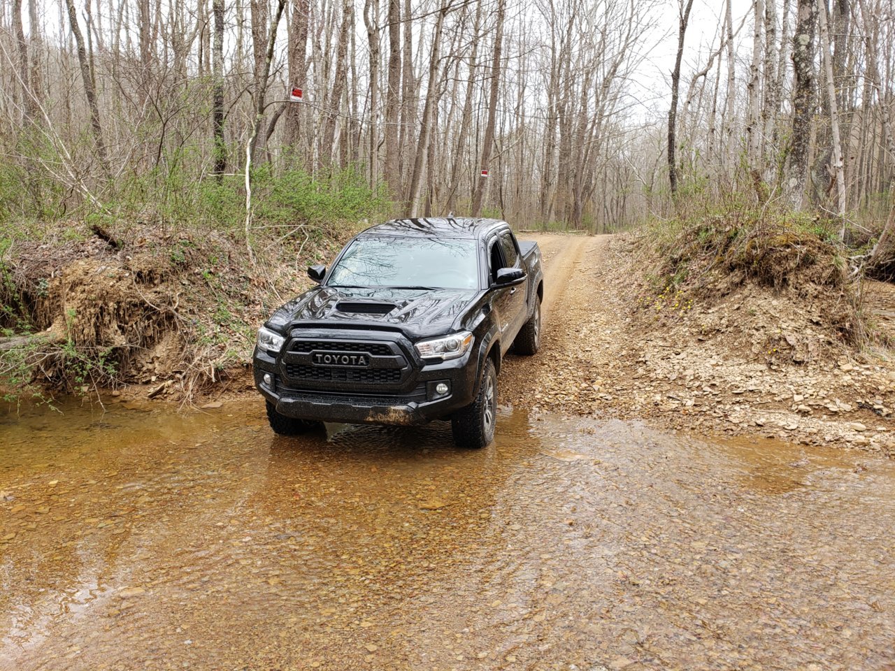 2019-04-13 Tar Hollow 077.jpg