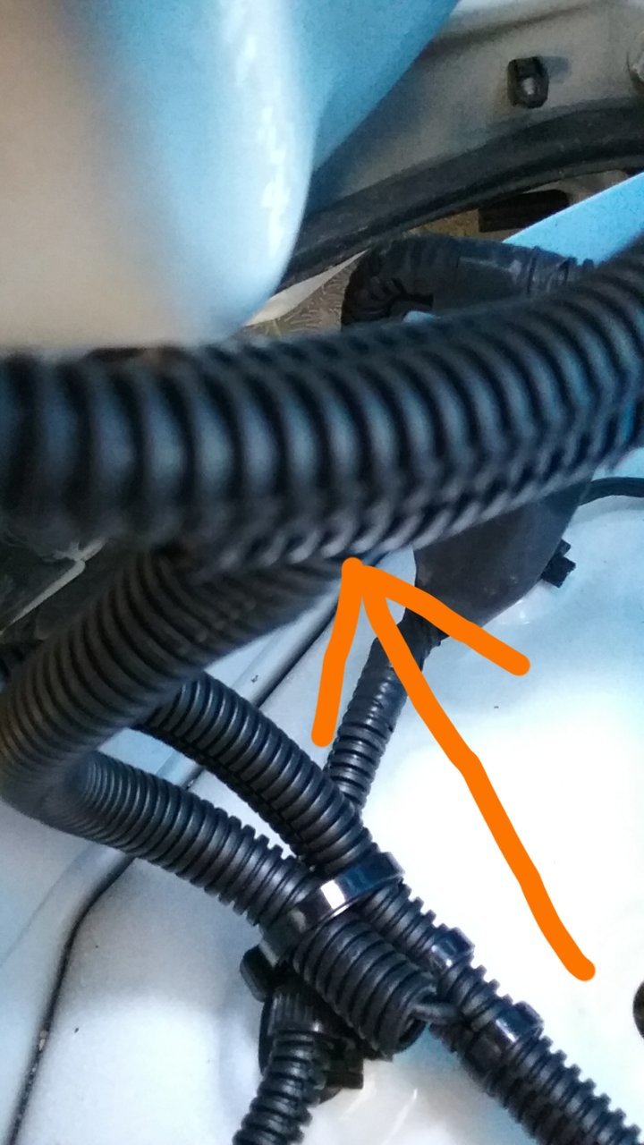 2019-08-25-12-46-53.jpg