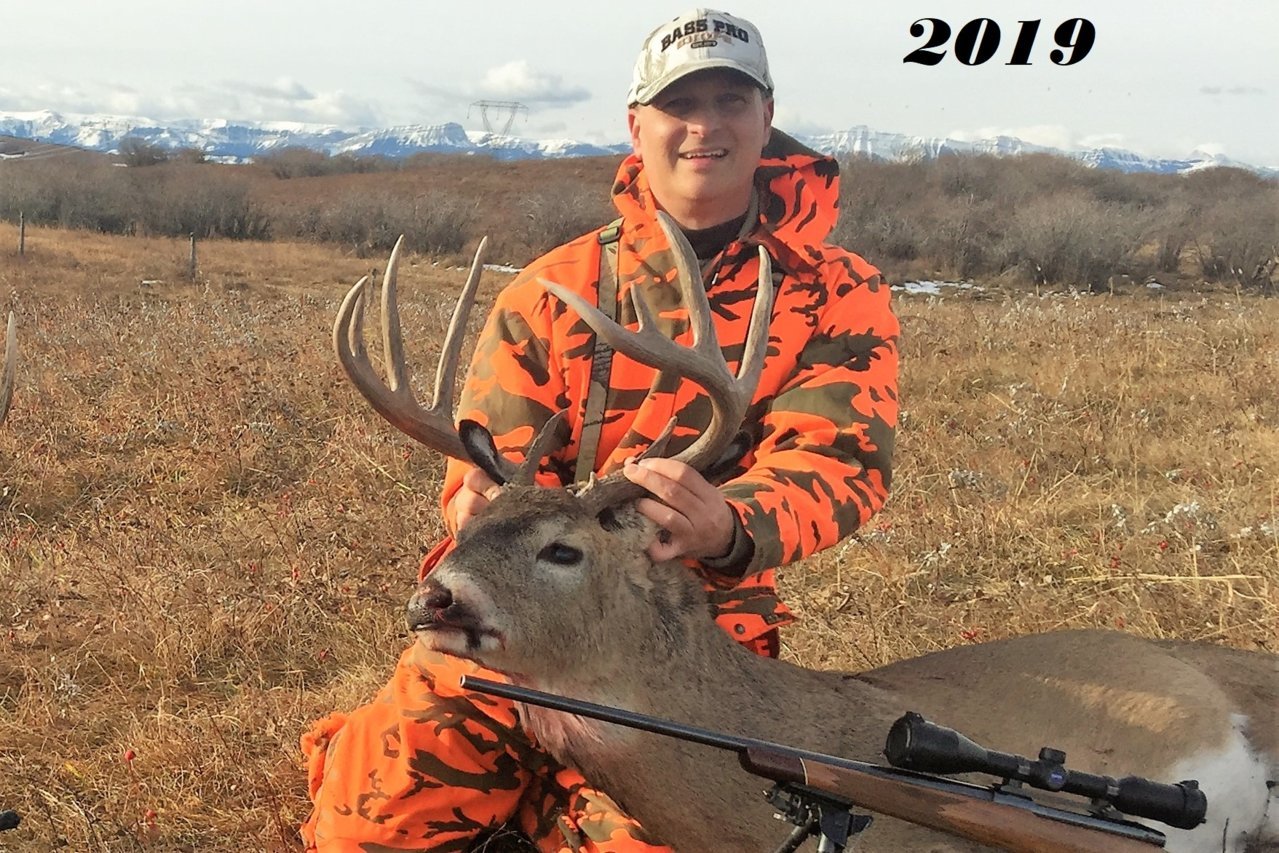 2019 deer.jpg