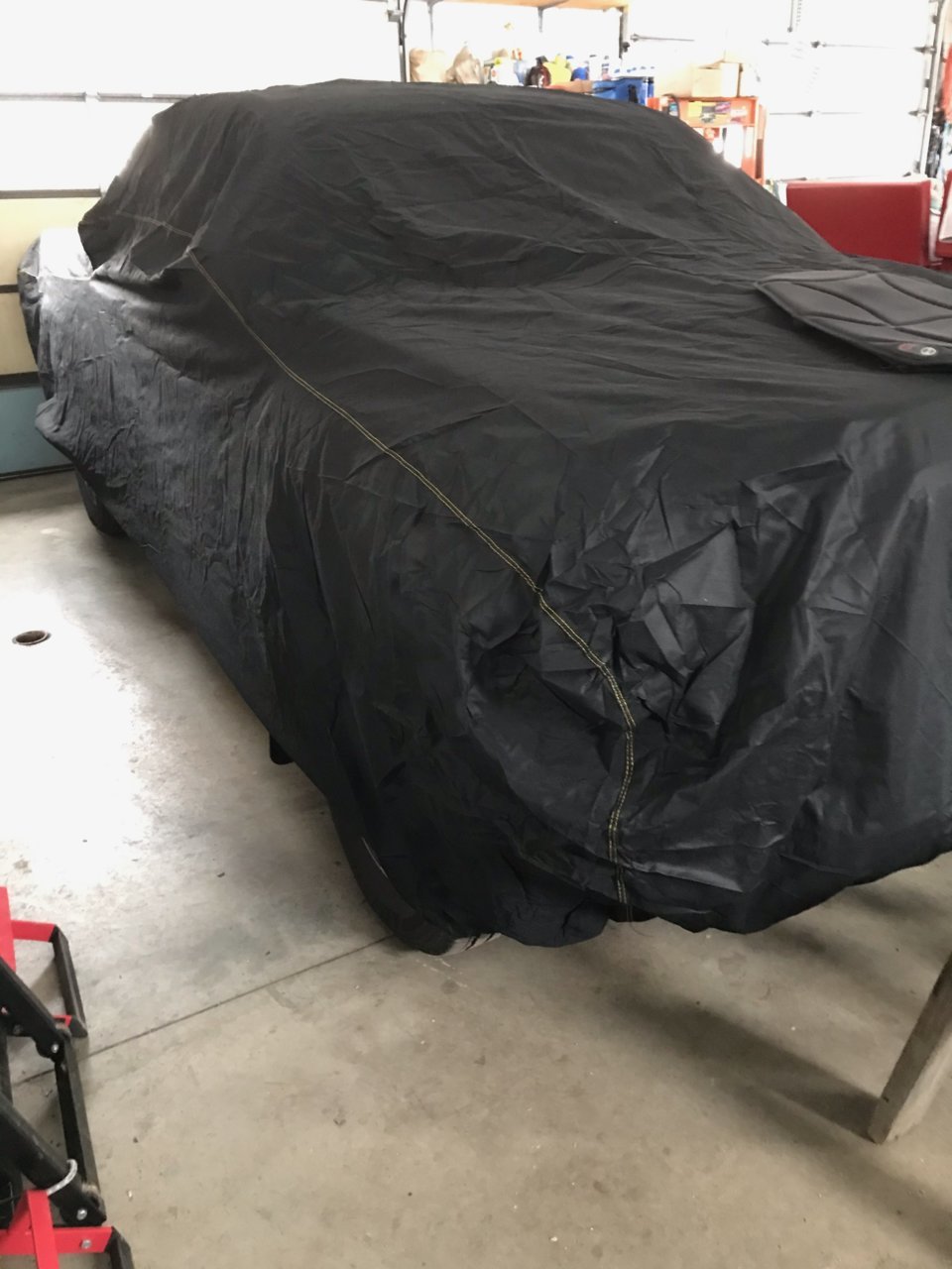 2019 Sport.jpg