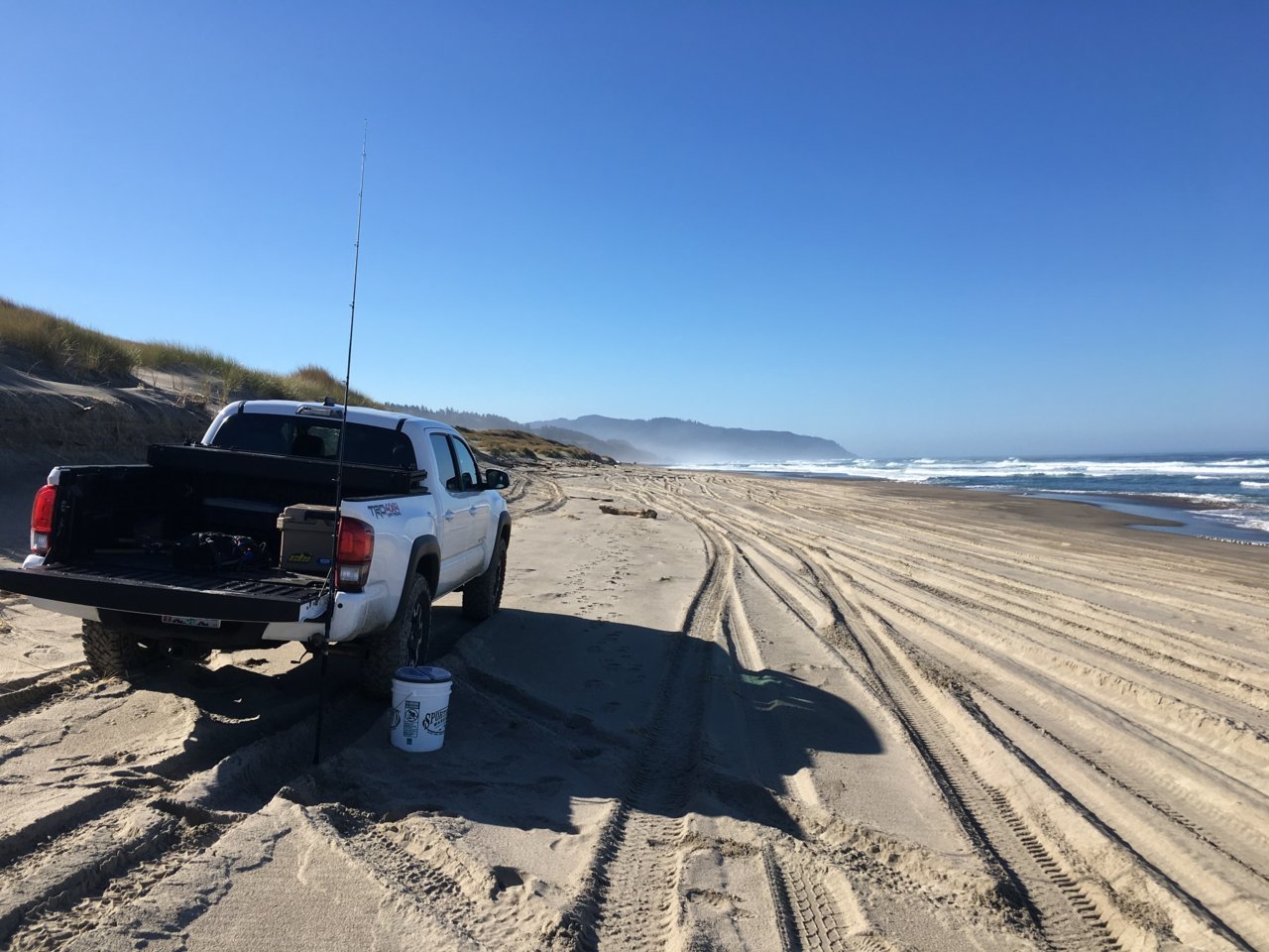 2019 Surf Perch.jpg