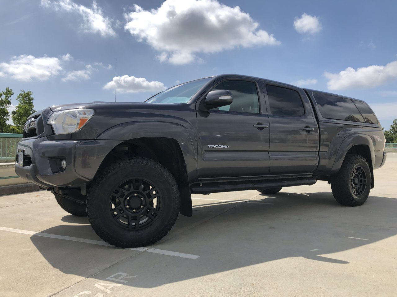 2019 whip.jpg