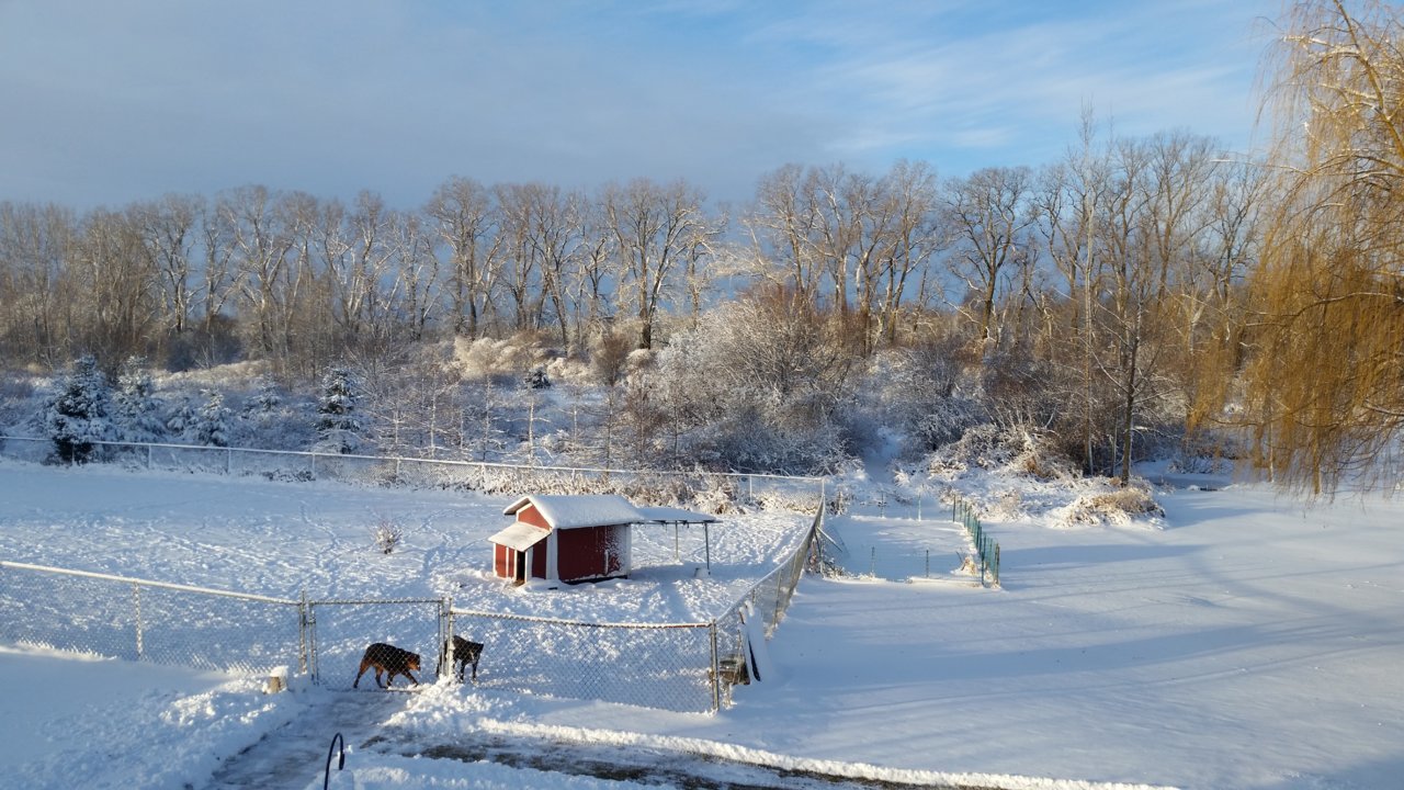 20190101_082426.jpg