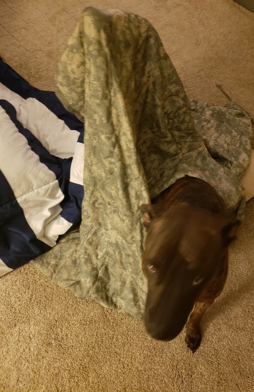 20190103_094659.jpg