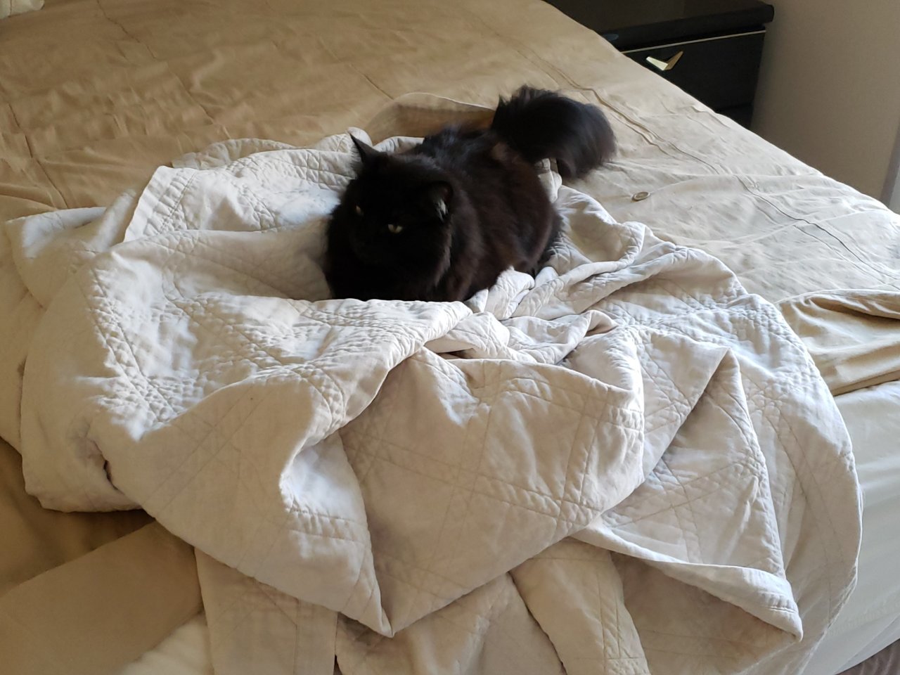 20190103_122231.jpg