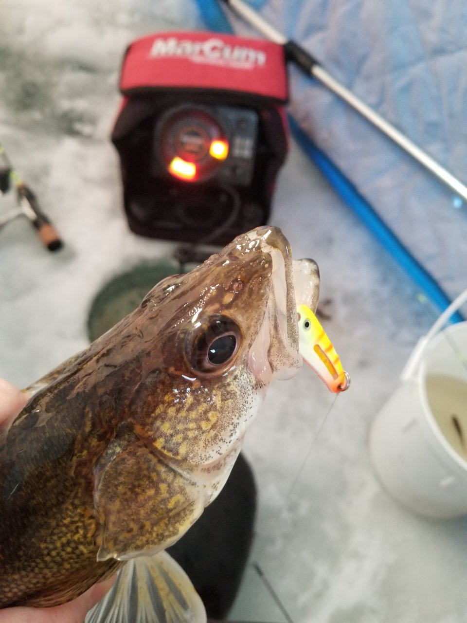 20190104_095442.jpg
