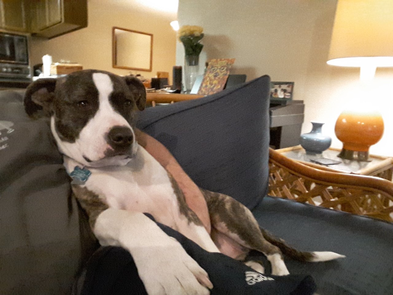 20190104_182442.jpg