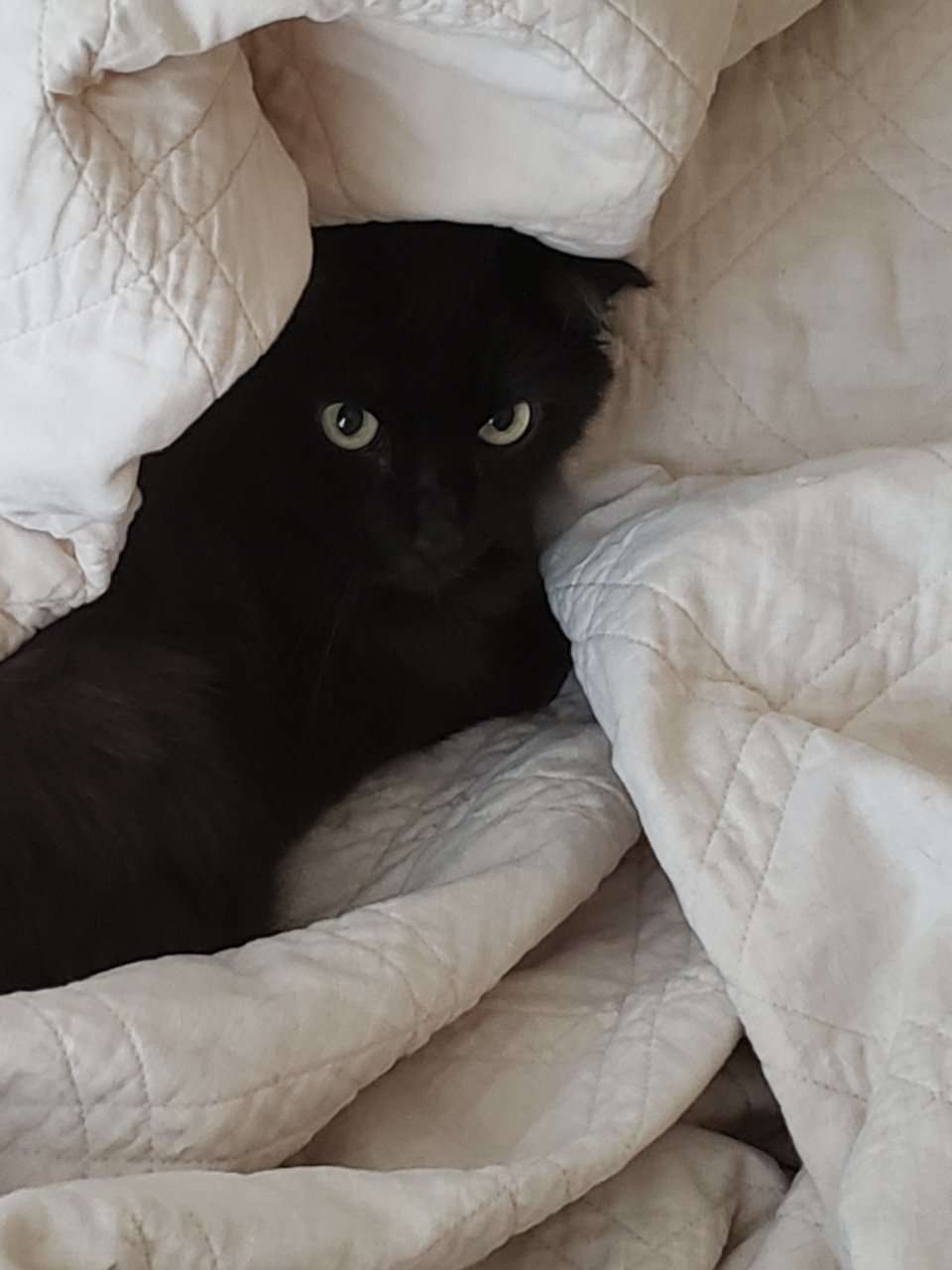 20190105_102858.jpg