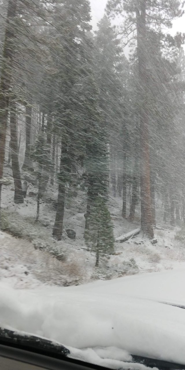 20190105_140717.jpg