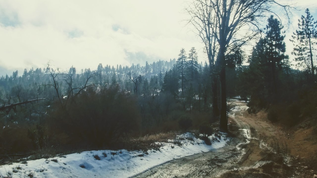20190106_131709_HDR~2.jpg