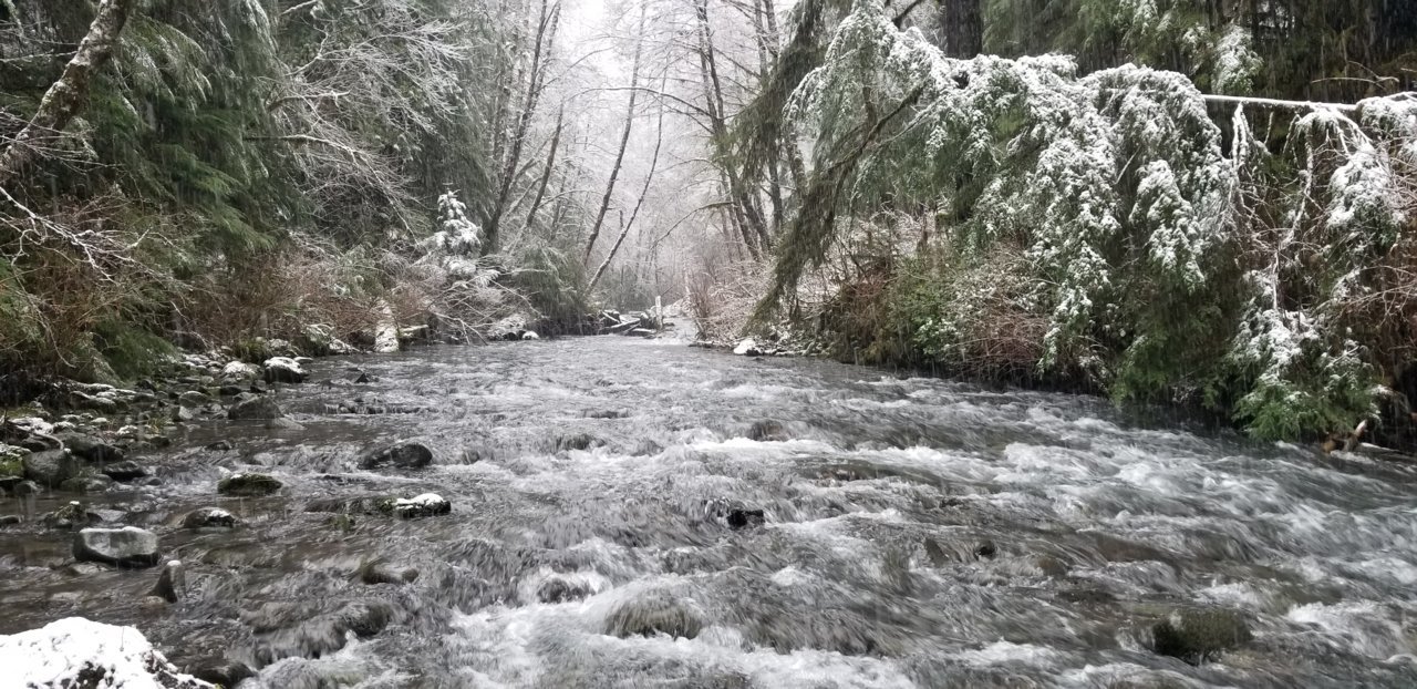 20190106_141742.jpg