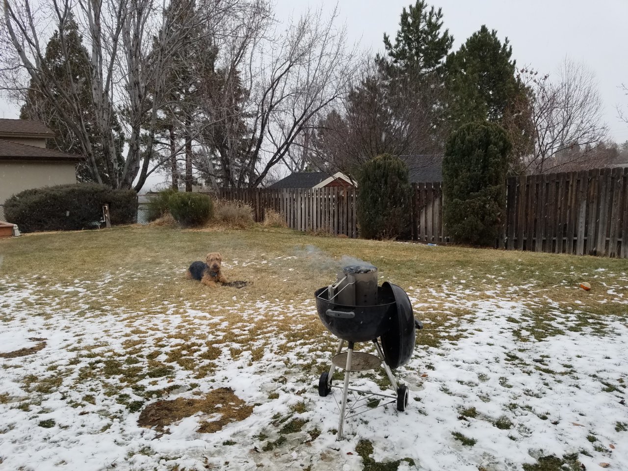 20190106_160446.jpg