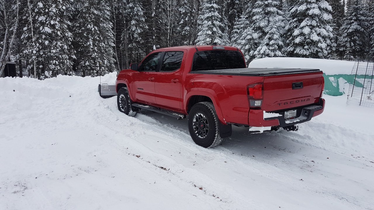 20190108_134731.jpg
