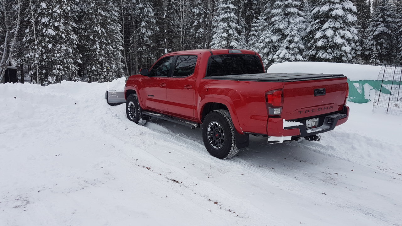 20190108_134731.jpg