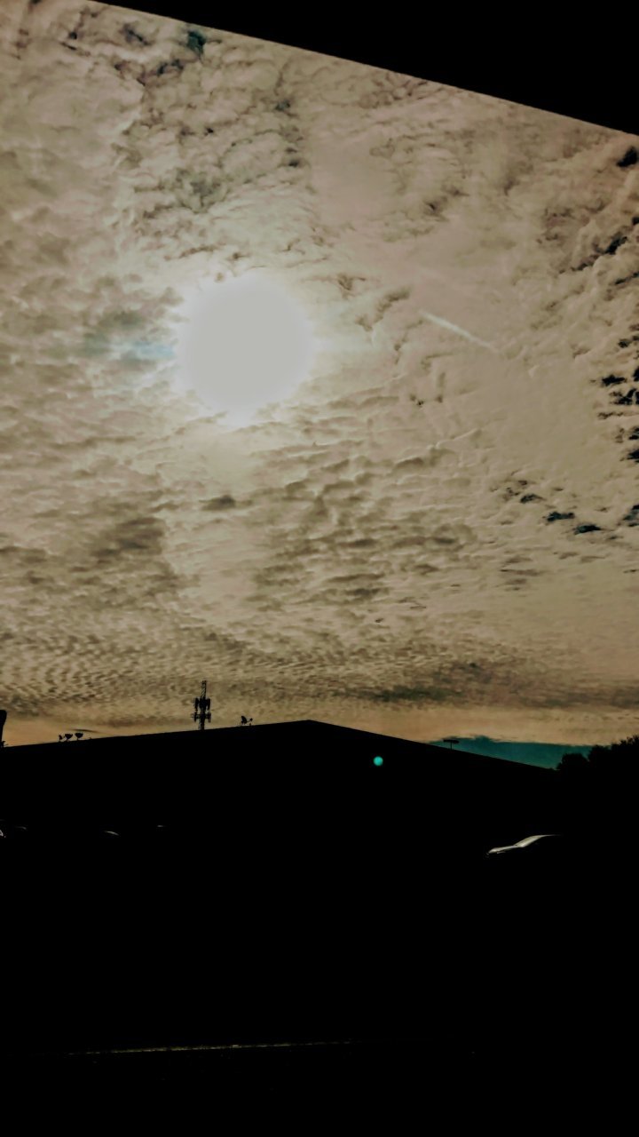 20190109_100832_HDR.jpg