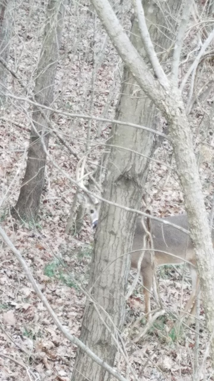 20190109_163454.jpg