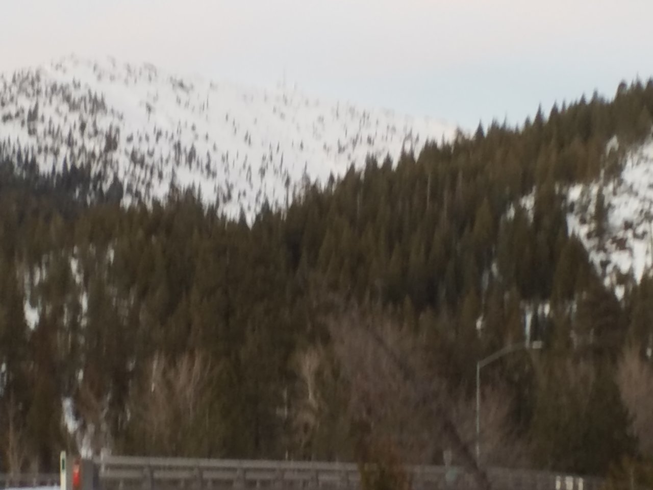 20190110_170035.jpg