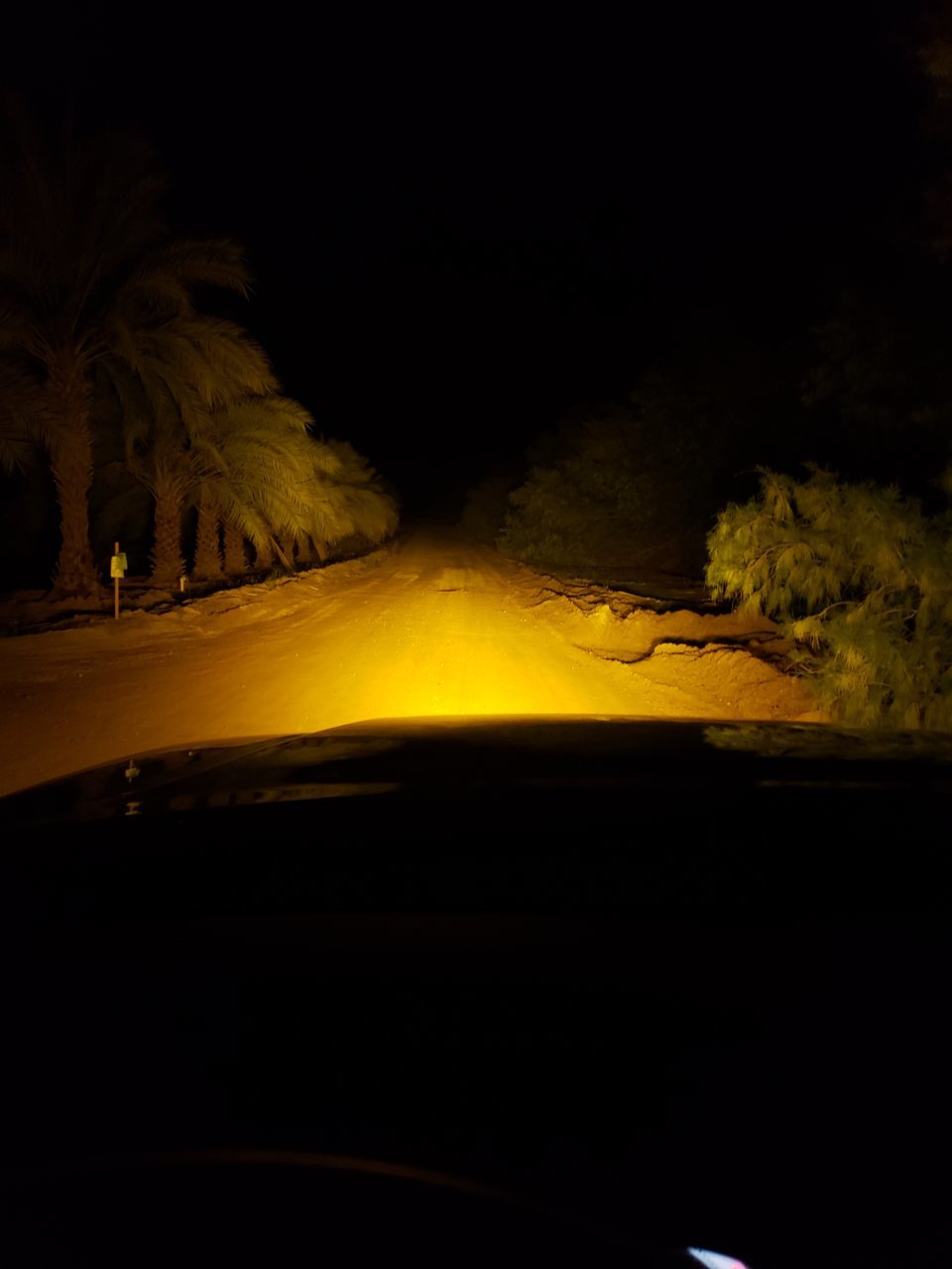 20190110_205655.jpg