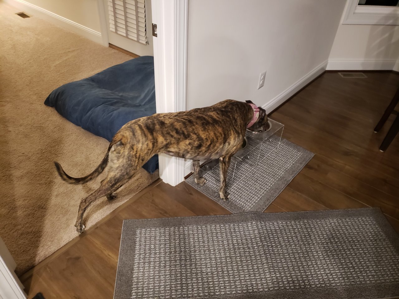 20190111_192741.jpg