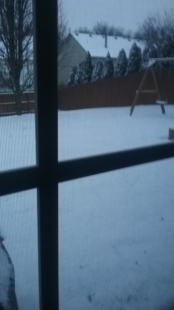 20190112_075607.jpg