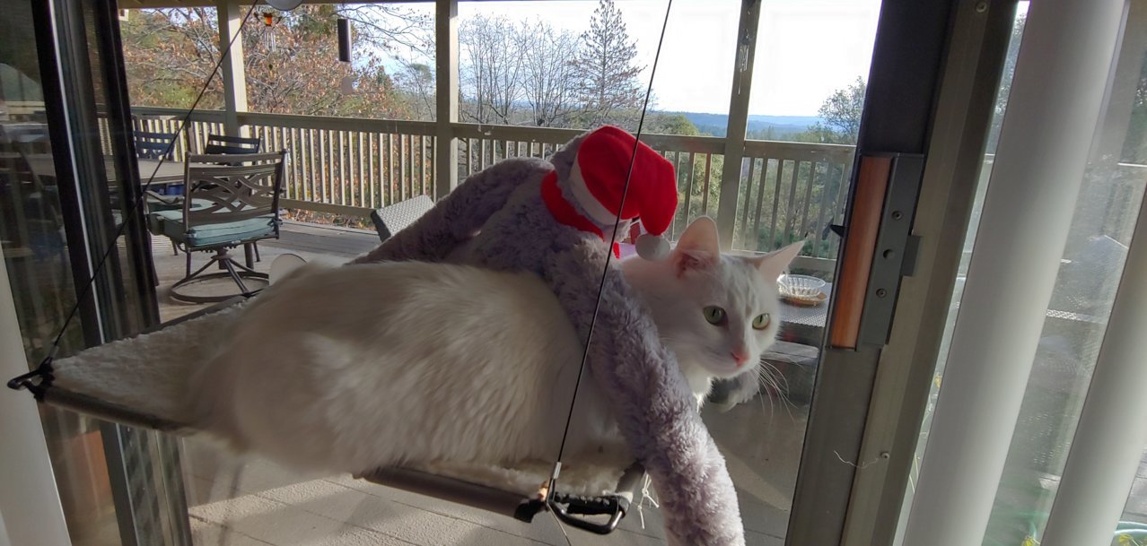 20190112_091011_HDR.jpg