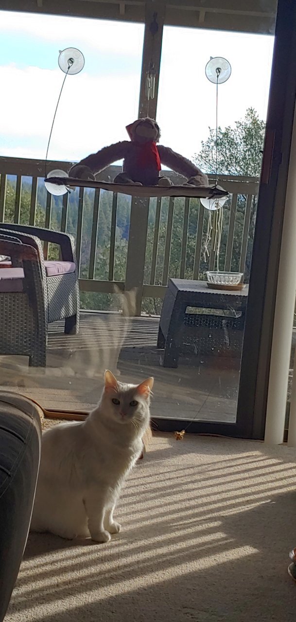20190112_093023_HDR.jpg