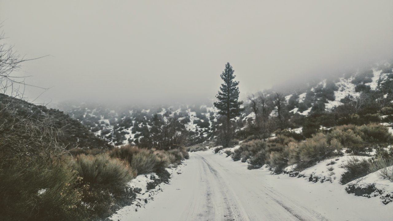 20190112_104714~2.jpg