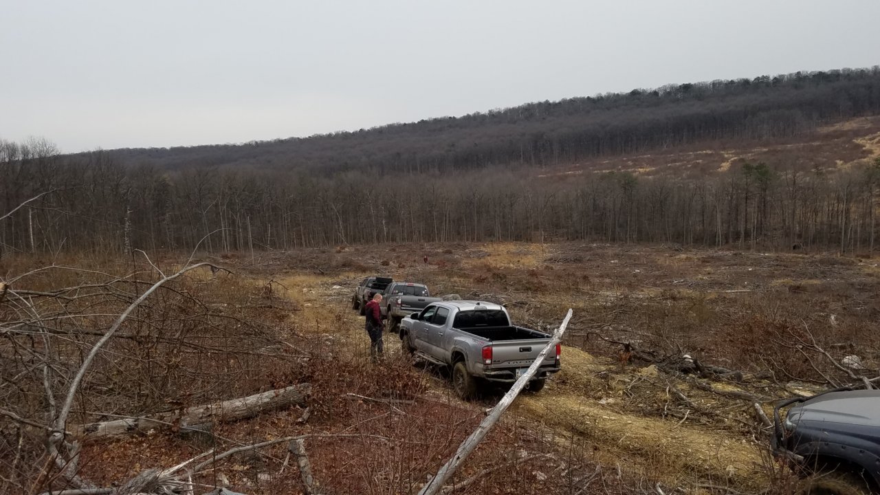 20190112_131538.jpg