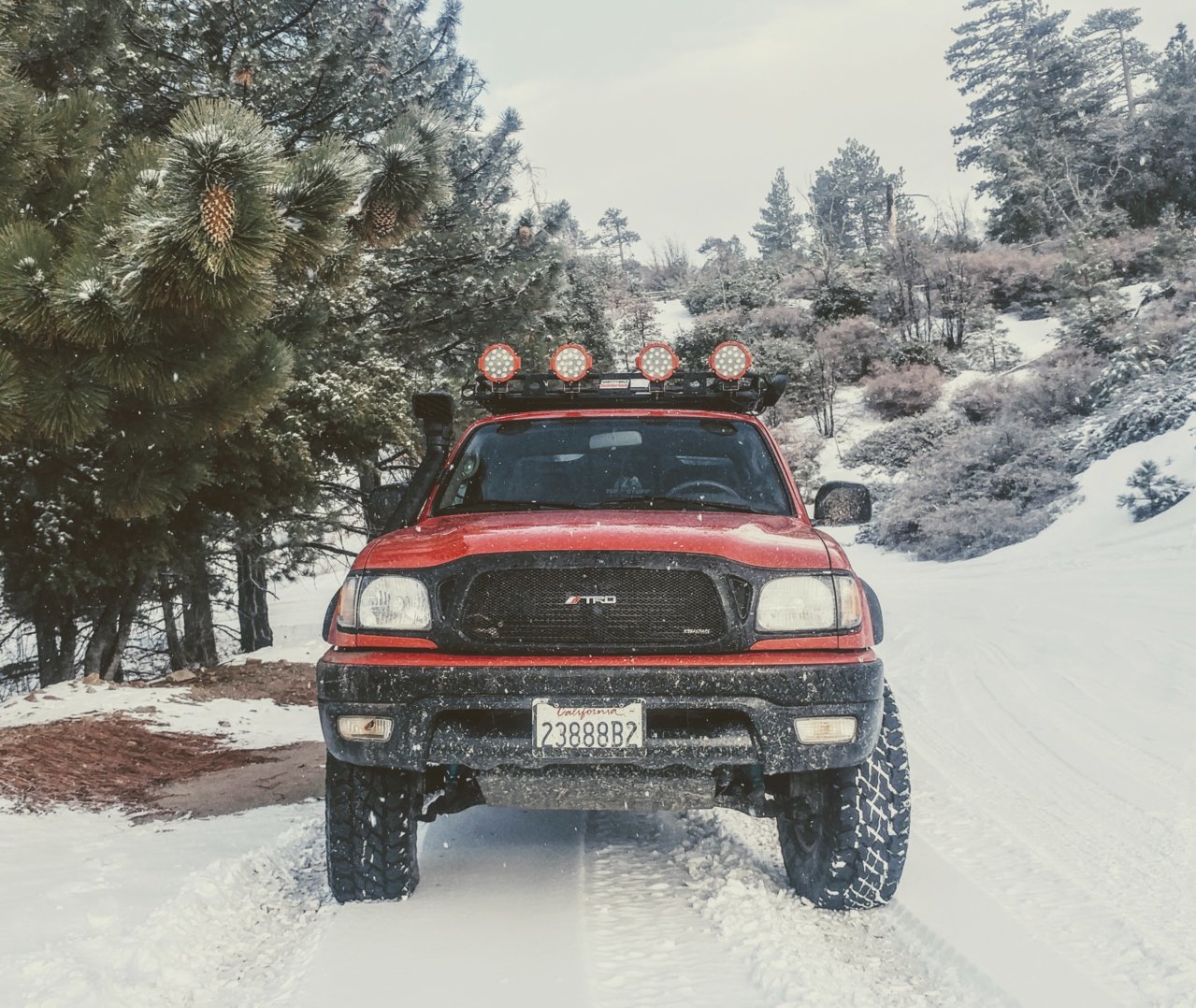 20190112_154233~2.jpg
