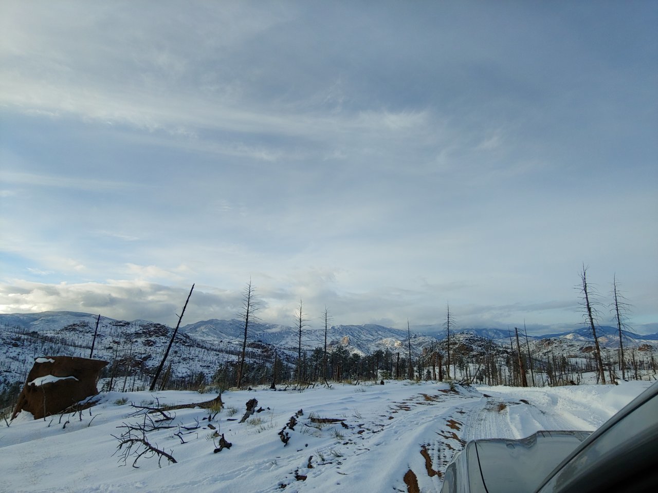 20190112_154625.jpg