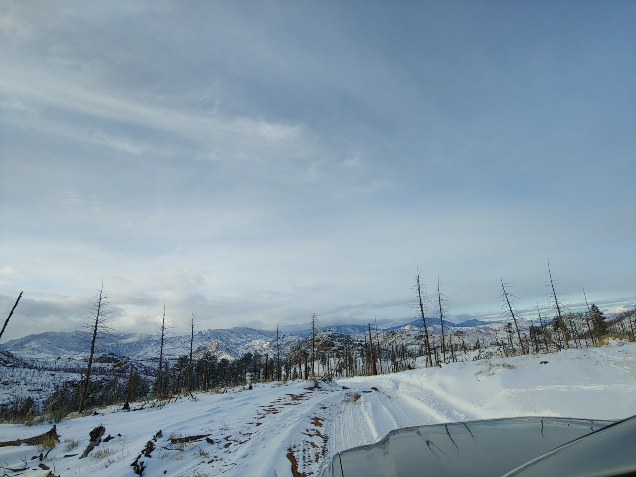 20190112_154629.jpg