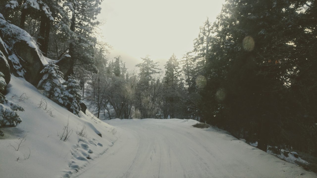 20190112_154800~2.jpg