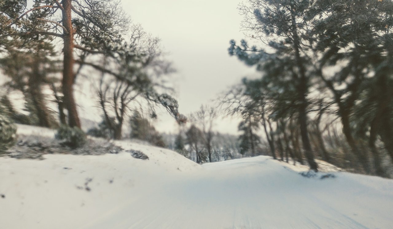 20190112_154921~2.jpg