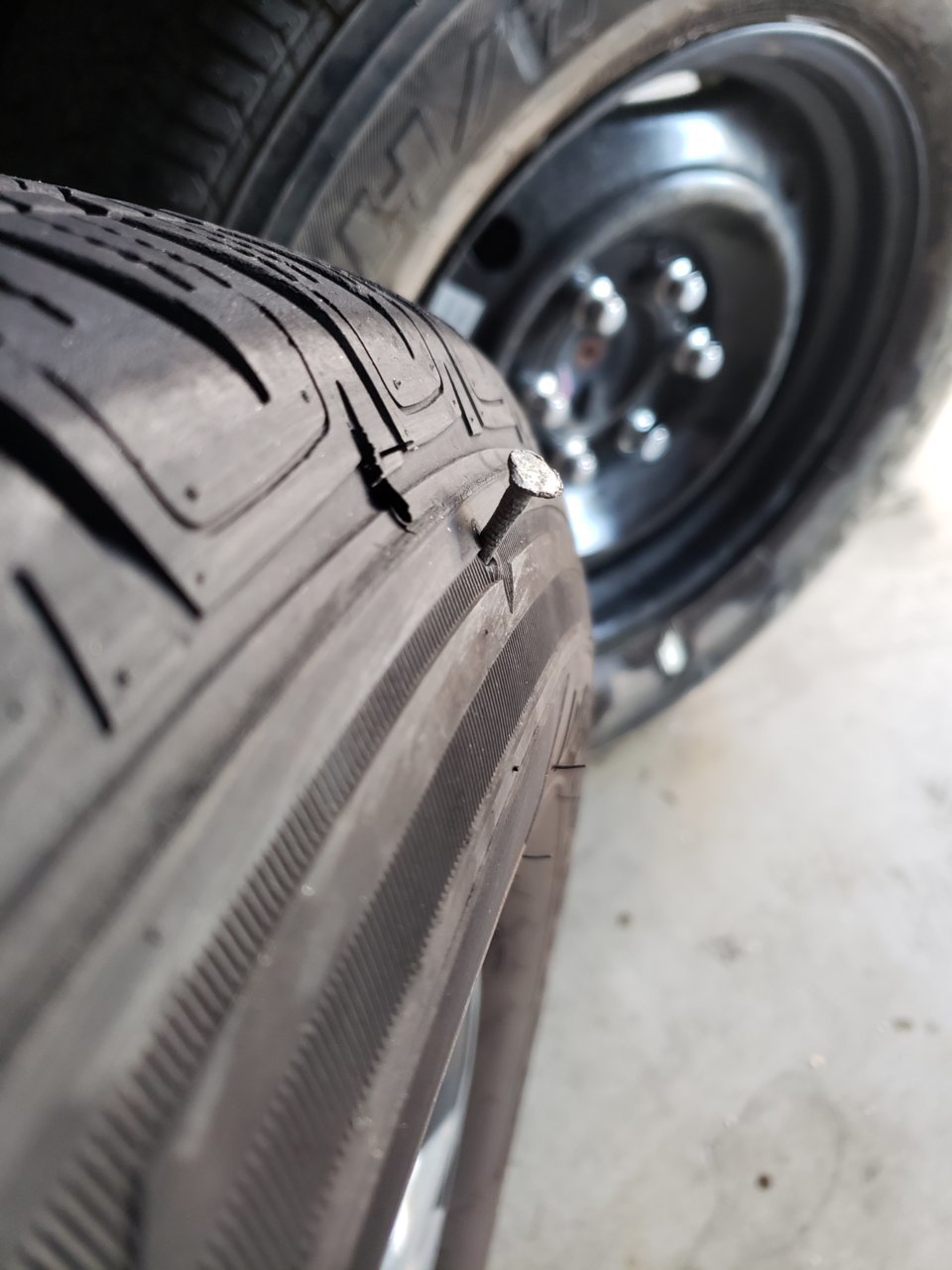 20190112_164150.jpg