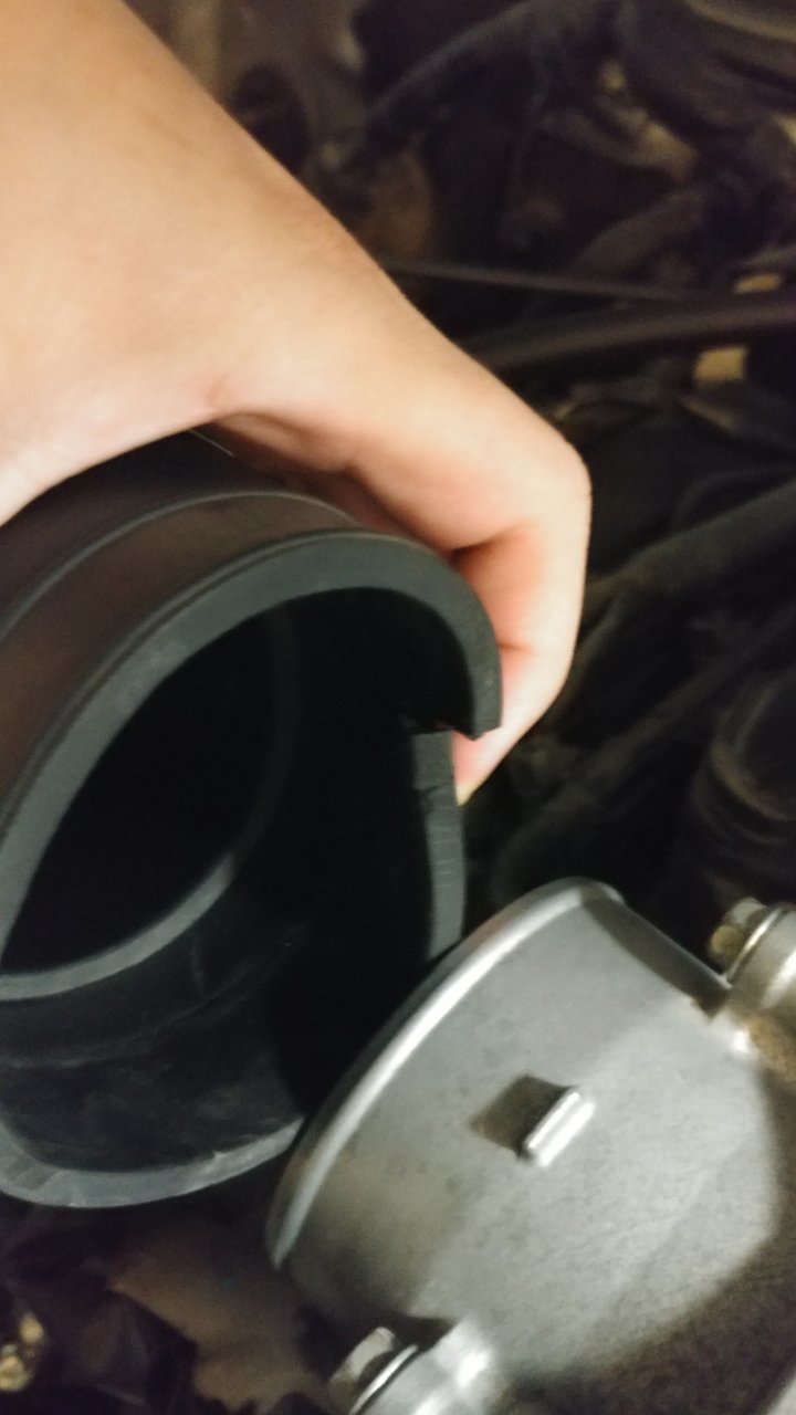 20190112_201705.jpg