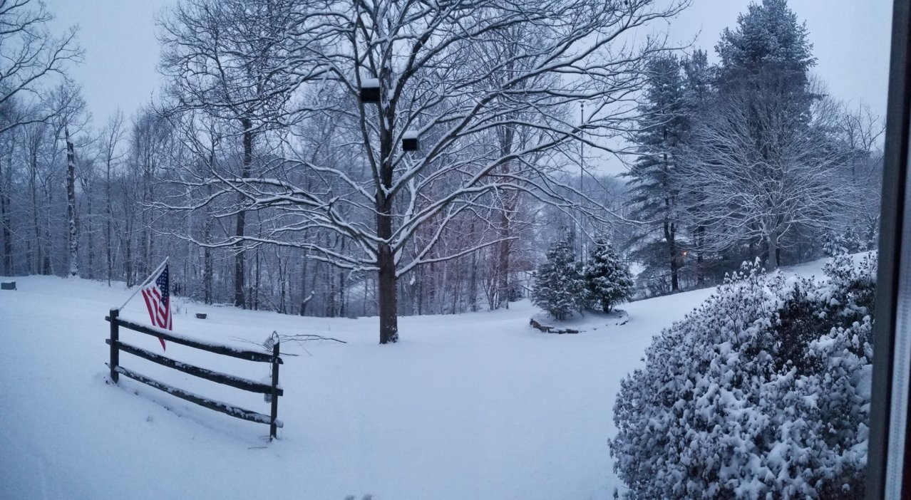 20190113_072240.jpg