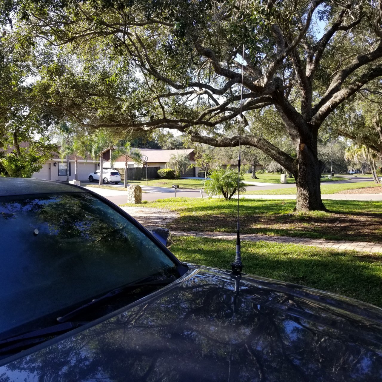 20190113_102056.jpg