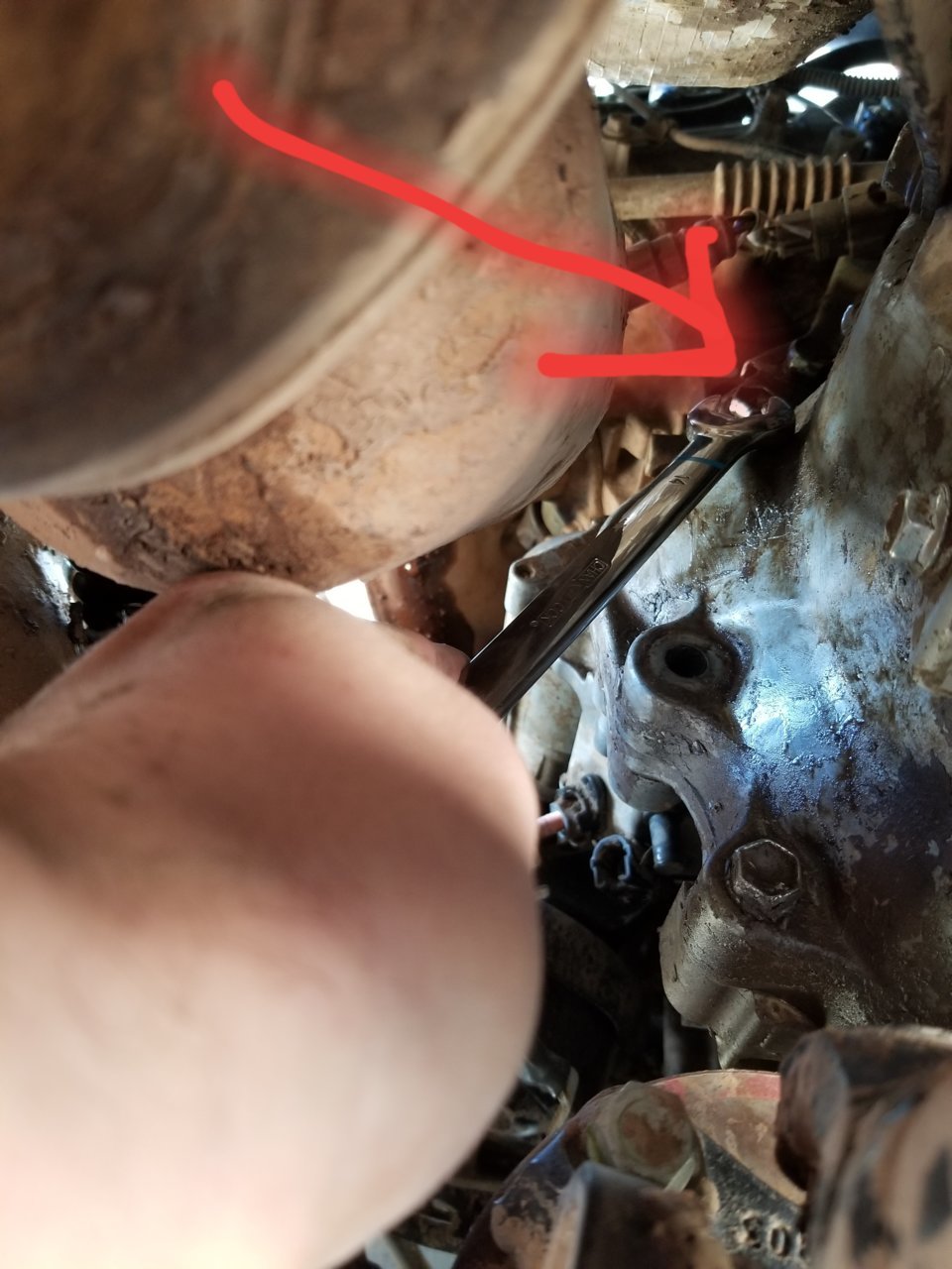20190113_111838.jpg