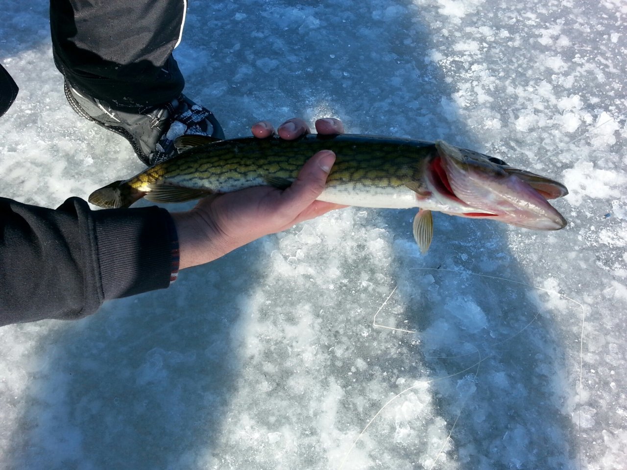 20190113_114344.jpg