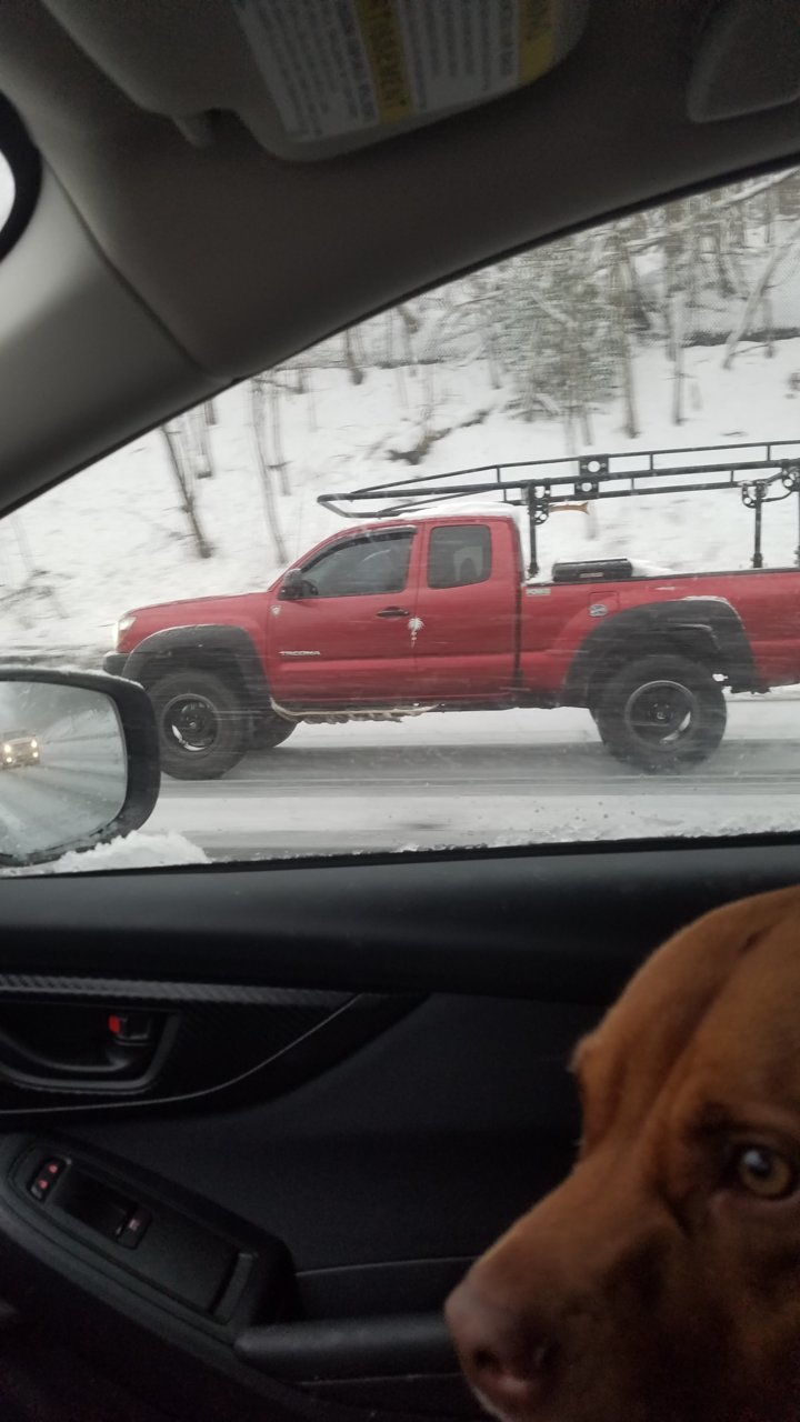 20190113_161545.jpg