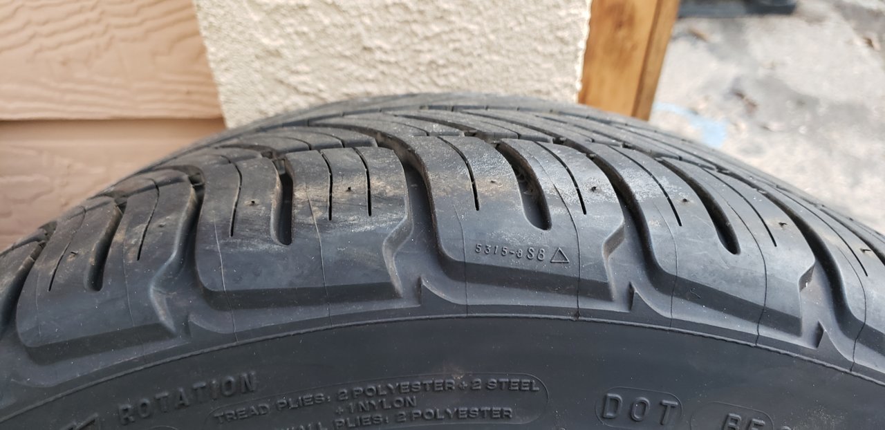 20190113_172628.jpg