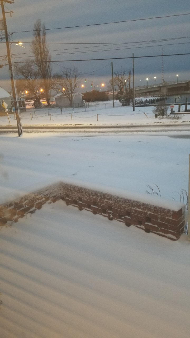 20190114_065556.jpg