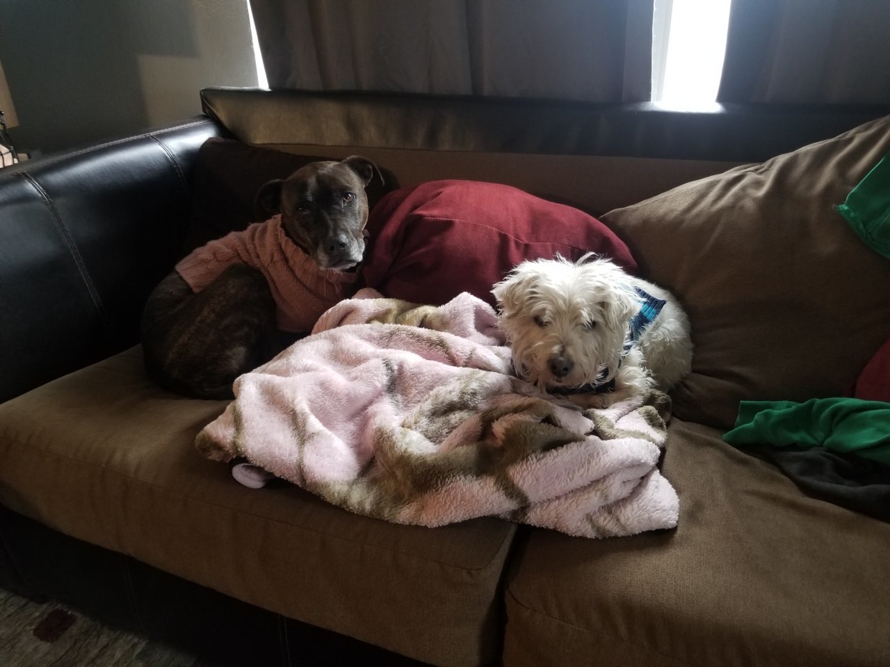 20190114_093615.jpg