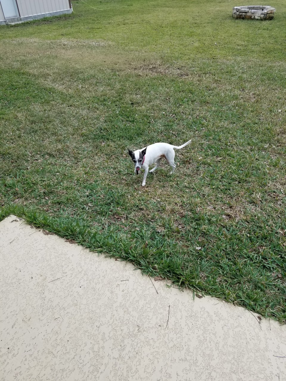 20190114_152709.jpg