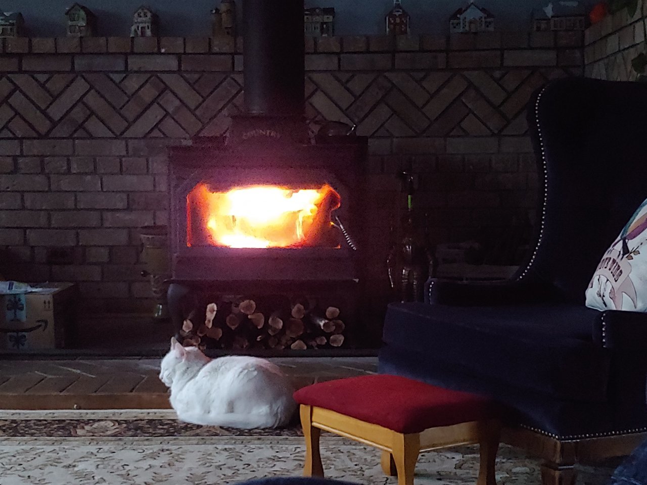 20190114_163644.jpg