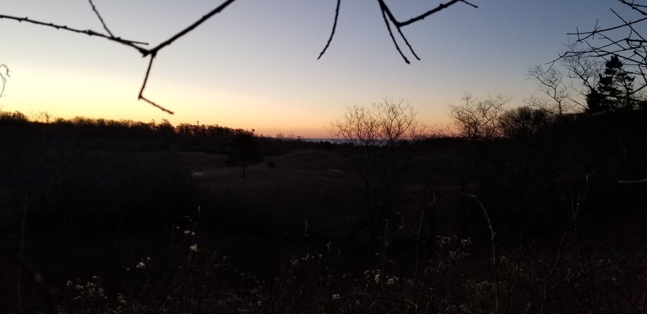 20190115_065336.jpg