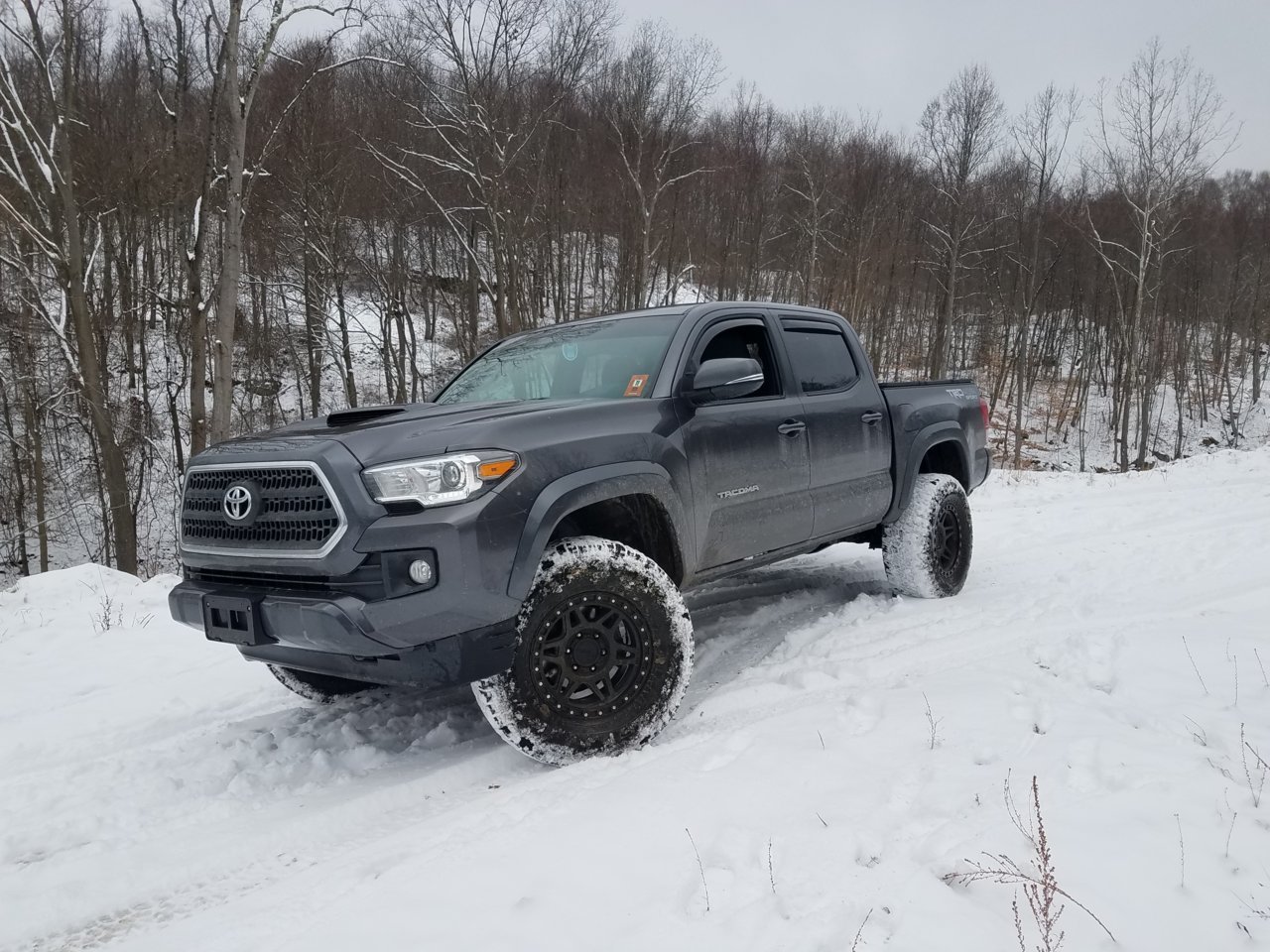 20190115_105816.jpg