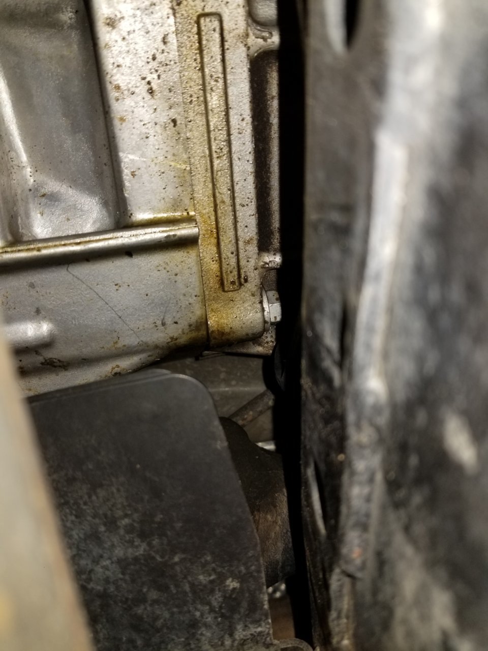 20190116_191349.jpg